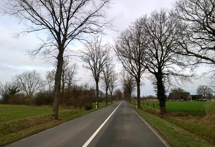 Route photo at kilometre 11.6