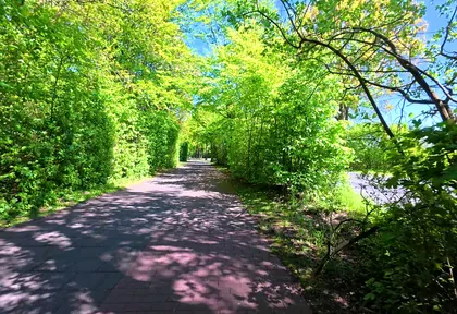 Streckenfoto bei Kilometer 8,2