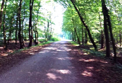 Streckenfoto bei Kilometer 23,6
