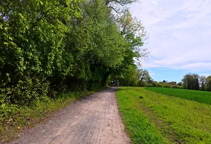 Streckenfoto bei Kilometer 29