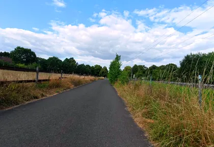Streckenfoto bei Kilometer 3