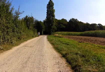 Streckenfoto bei Kilometer 24