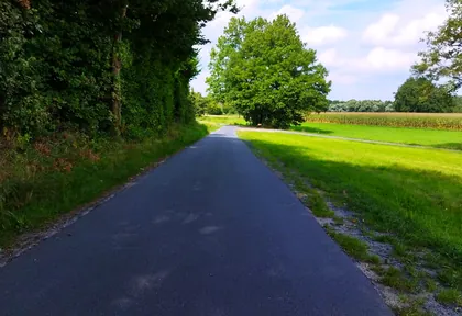 Streckenfoto bei Kilometer 15,8