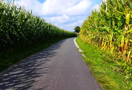 Streckenfoto bei Kilometer 16,4
