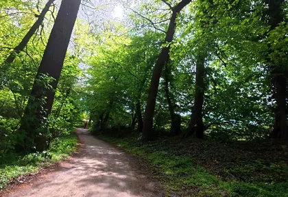 Streckenfoto bei Kilometer 30