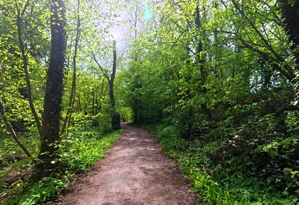 Streckenfoto bei Kilometer 28