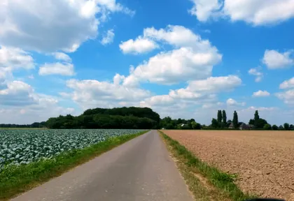 Streckenfoto bei Kilometer 14,4
