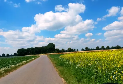 Streckenfoto bei Kilometer 13,8