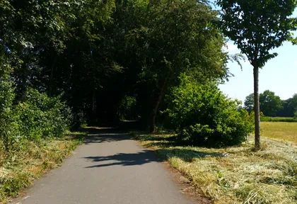 Streckenfoto bei Kilometer 7,2