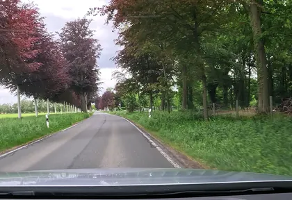 Streckenfoto bei Kilometer 20,6