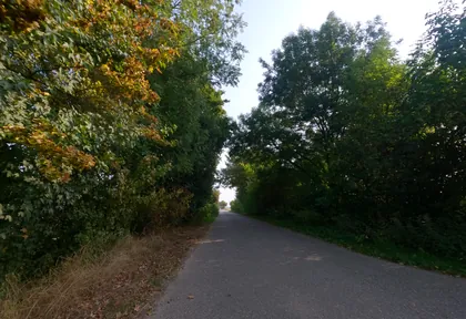 Streckenfoto bei Kilometer 18,4