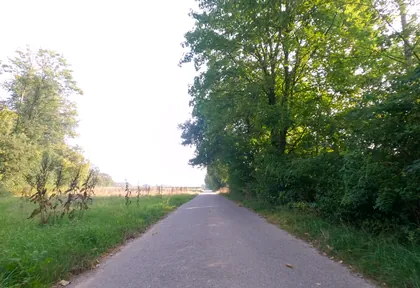 Streckenfoto bei Kilometer 19