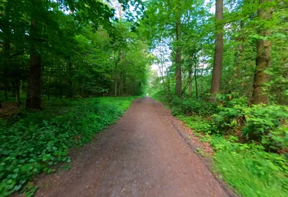 Streckenfoto bei Kilometer 24,3