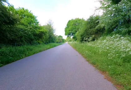 Streckenfoto bei Kilometer 1,6