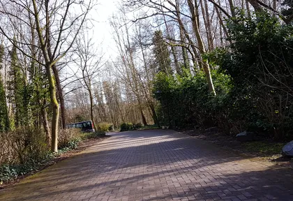 Streckenfoto bei Kilometer 2,6