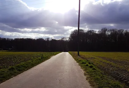 Streckenfoto bei Kilometer 4,4