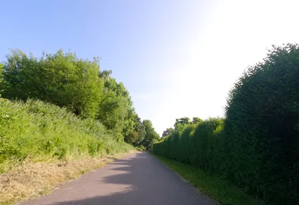 Streckenfoto bei Kilometer 16,4