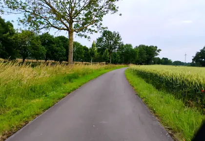 Streckenfoto bei Kilometer 14,4
