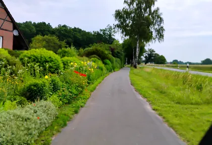 Streckenfoto bei Kilometer 16,8