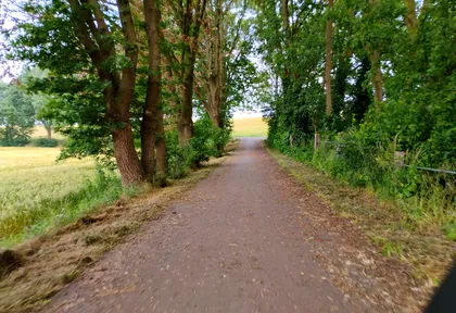 Streckenfoto bei Kilometer 20,8
