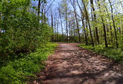 Streckenfoto bei Kilometer 32,8
