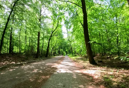 Route photo at kilometre 11