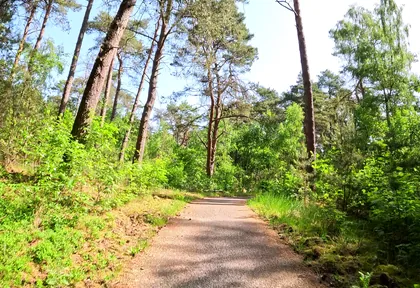 Route photo at kilometre 12.6