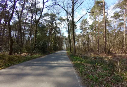 Route photo at kilometre 4.4