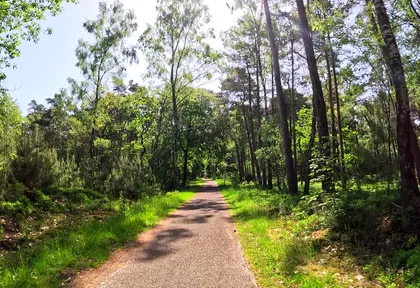 Route photo at kilometre 11.8
