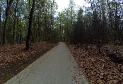 Route photo at kilometre 3