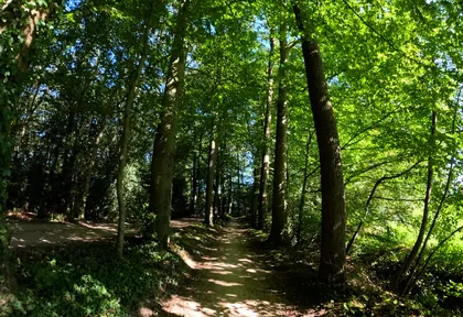 Routefoto bij kilometer 21