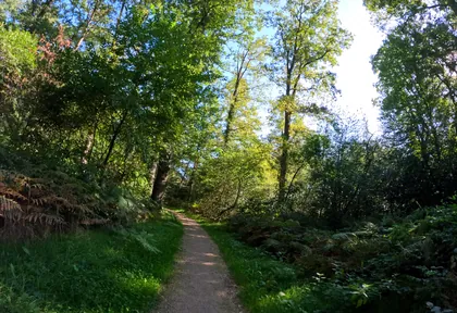 Routefoto bij kilometer 21,2
