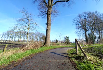 Routefoto bij kilometer 11