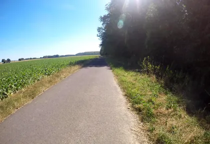 Route photo at kilometre 11.6