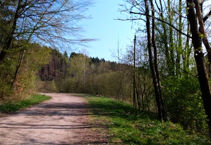 Streckenfoto bei Kilometer 10