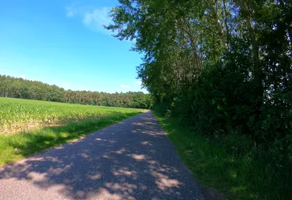 Streckenfoto bei Kilometer 8,4