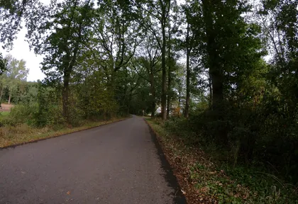 Streckenfoto bei Kilometer 21,2