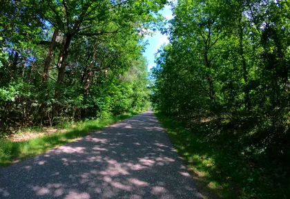 Streckenfoto bei Kilometer 7,2