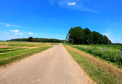 Streckenfoto bei Kilometer 8,8
