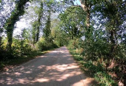 Streckenfoto bei Kilometer 15,2
