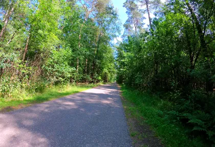 Streckenfoto bei Kilometer 7,8