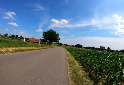 Streckenfoto bei Kilometer 5,2