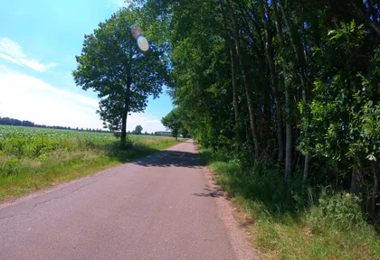 Streckenfoto bei Kilometer 38,4