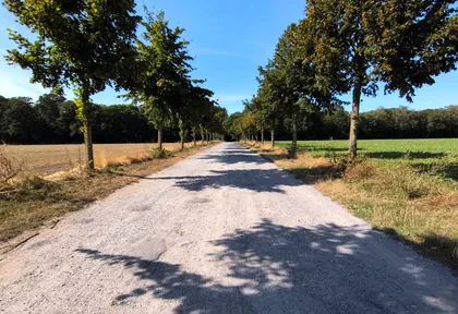 Streckenfoto bei Kilometer 3,2