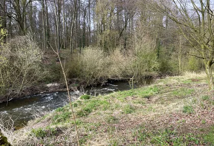 Streckenfoto der Route Rhede, Bocholter Aa und fünf Brücken