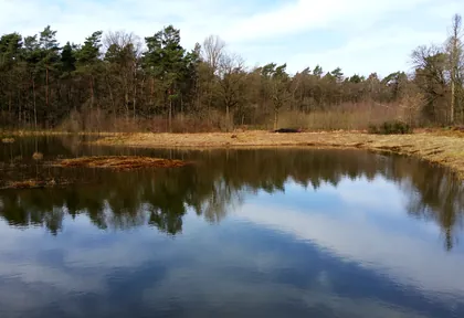 Streckenfoto bei Kilometer 28,2