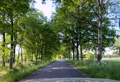 Streckenfoto bei Kilometer 19,6