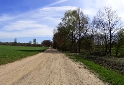 Streckenfoto bei Kilometer 8,4