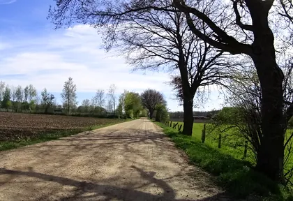 Streckenfoto bei Kilometer 8,8