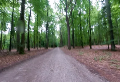 Streckenfoto bei Kilometer 16